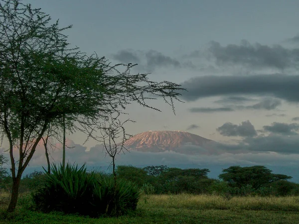 View Mount Kilimanjaro Clouds Cover Its Peak Amboseli National Park — Stock Photo, Image