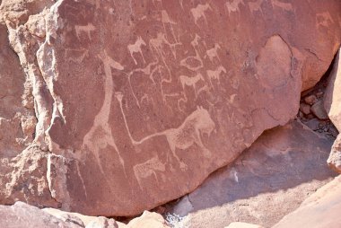 Twyfelfontein, Namibya - 07-16-2013: Kaya oymaları Kuzey Namibya 'daki Unesco Dünya Mirasları Alanıdır