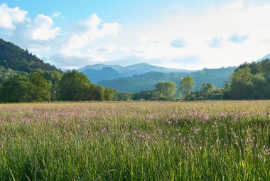 Auvergne 'deki volkanik parkın manzarası güneşli bir günde, Fransa