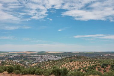 İspanya 'da güneşli bir günde beyaz boyalı evleri olan tipik Endülüs köyü.