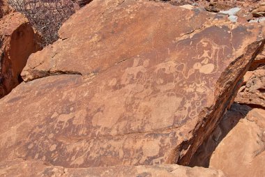 Twyfelfontein, Namibya - 07: 16 2013: Kaya oymaları Kuzey Namibya 'da Unesco Dünya Mirasları Alanıdır.