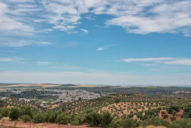 İspanya 'da güneşli bir günde beyaz boyalı evleri olan tipik Endülüs köyü.