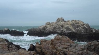 Dalgalar, Arjantin 'in Patagonya sahilindeki Cabo Blanco' da şiddetli rüzgarlarla kıyıya vuruyor.