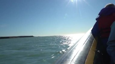 Yunuslar Arjantin 'in Patagonya kıyısındaki Puerto deseado' da yunusları izlemek için Atlantik Okyanusu 'nda süzülen zodyak lastik tekne.