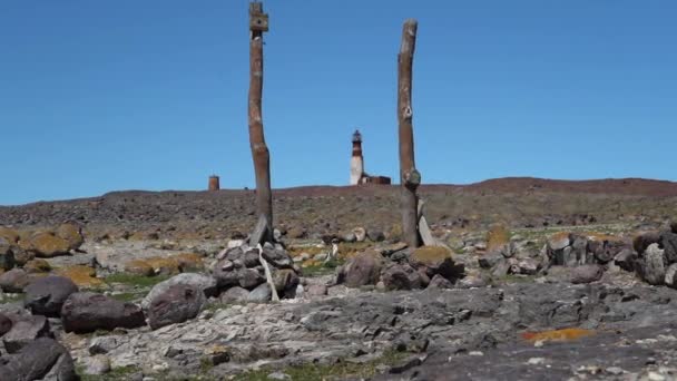 麦哲伦企鹅在位于阿根廷巴塔哥尼亚海岸的一座红砖灯塔前行走 — 图库视频影像