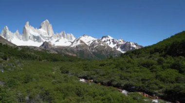Otaria flavescens kolonisi, Güney Amerika deniz aslanı, Arjantin 'in Patagonya sahilinde Patagonya deniz aslanı, Patogonia' nın Atlantik kıyılarında genç bir fil fokuyla birlikte yatmaktadır..