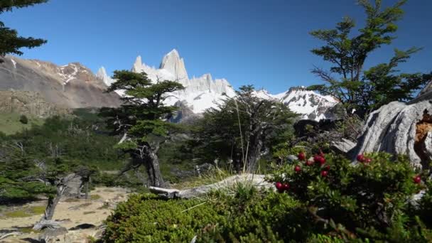 Monte Fitzroy Pico Montaña Alto Característico Sur Argentina Patagonia América — Vídeos de Stock