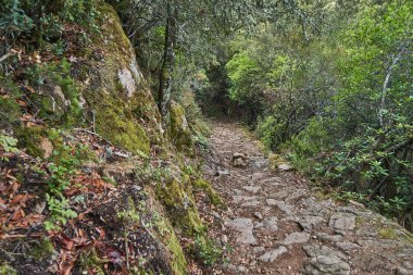 Spelunca Vadisi Fransa 'nın Korsika adasında eski bir Roma patikası boyunca yürüyüş için popüler bir yerdir.