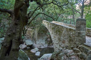 Spelunca Vadisi 'ndeki eski Roma köprüsü. Fransa' nın Korsika adasında eski bir Roma patikası boyunca yürümek için popüler bir yer.