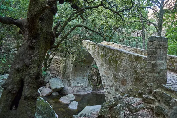 Antiguo Puente Romano Desfiladero Spelunca Destino Popular Para Hacer Senderismo — Foto de Stock