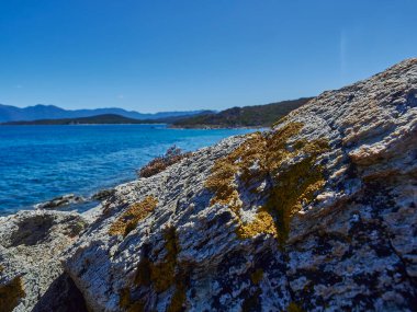 Akdeniz 'in turkuaz suyu Plage de Saleccia' da, Fransa 'nın Korsika adasında beyaz kumlu bir körfez.