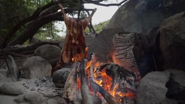 Барбекю Ягненка Открытом Огне Патагонии Аргентина Южная Америка Асадо Традиционное — стоковое видео