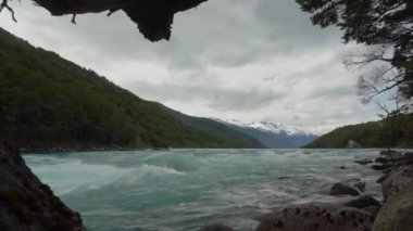 Golden retriever köpeği Rio Baker nehrinin beyaz su akıntısının yanında Carretera Austral, Patagonya, Şili, Güney Amerika boyunca turkuaz suyla oturuyor.
