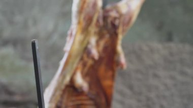 Patagonya, Arjantin, Güney Amerika 'da ateşte kuzu eti barbeküsü. Asado ateşte yemek pişiren bir Gaucho geleneğidir.