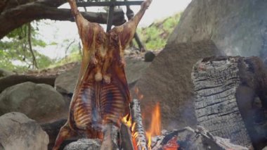 Patagonya, Arjantin, Güney Amerika 'da ateşte kuzu eti barbeküsü. Asado ateşte yemek pişiren bir Gaucho geleneğidir.