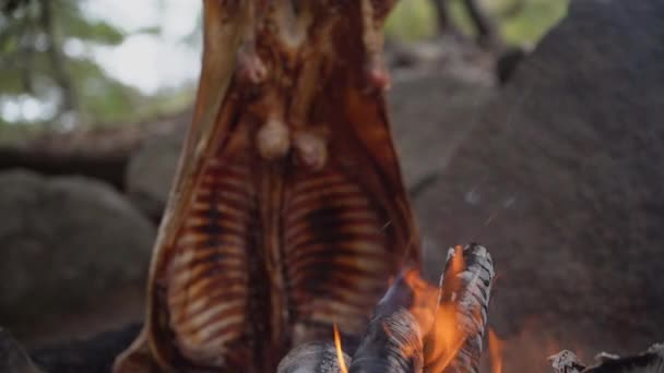 Rustikaler Lammgrill Über Offenem Feuer Patagonien Argentinien Südamerika Asado Ist — Stockvideo