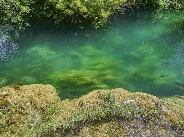 Krk şelaleleri, Hırvatistan - 06: 28 2015: kristal berrak turkuaz sudaki balık