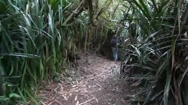 Ancud Chiloe Chile 2018 Unrecognizable Hiker Overgrown Path Close Ancud — Vídeo de stock