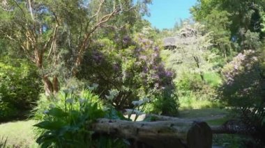 Frutillar, Chile - 12 23 2018: lush garden at a wooden farm house of the german colonial museum Frutillar in Patagonia, Chile, a historical german settlement with typical old wooden houses and rich migration history.