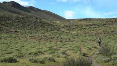young hiker walking along Guanacos in the Torres del Paine national park, a popular destination for hiking in Patagonia, Chile, whit rainy, overcast weather.
