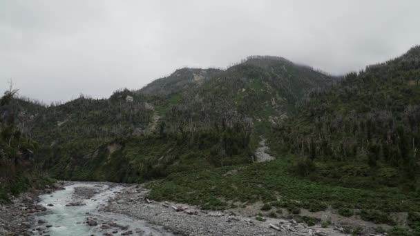 Fluss Fließt Durch Die Vulkanlandschaft Von Chaiten Patagonien Chile Entlang — Stockvideo