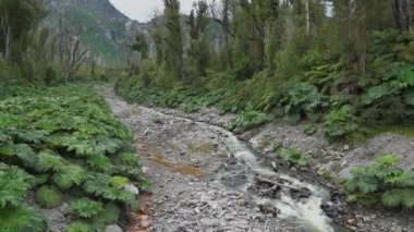 Güney Amerika 'daki Carretera Astral boyunca Şili, Patagonya' daki Chaiten volkanik arazisinden akan nehir.