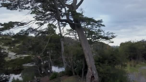Udara Dari Lanskap Sekitar Rio Parit Sepanjang Saluran Beagle Ujung — Stok Video