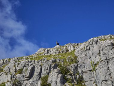 Landscape of the The Burren, a karst or glaciokarst area in County Clare, on the west coast of Ireland wth rugged an sharp edged rocks.