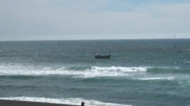 sea birds diving into the water and hunting fish at pacific coastline of Chile with waves crushing onto the shore on a sunny day with clear blue sky.