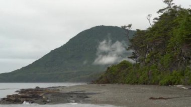fog rising over the pacific temperate rain forest at the coastline of the pacific ocean is a vulnerable eco system close to Chaiten in Patagonia, Chile, worth being protected.