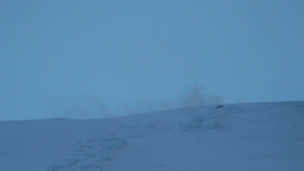 Snow Covered Villarrica Chile Still Active Volcano Producing Lava Sulfur — Stock Video