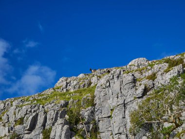 Landscape of the The Burren, a karst or glaciokarst area in County Clare, on the west coast of Ireland wth rugged an sharp edged rocks.