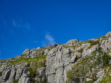 Landscape of the The Burren, a karst or glaciokarst area in County Clare, on the west coast of Ireland wth rugged an sharp edged rocks.