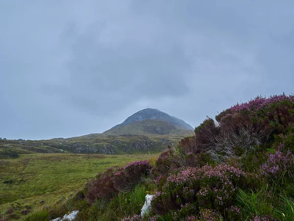 Diamond hill in the landscape of the lush and green Connemara National Park, a popular travel destination for hiking and recreation in Ireland.