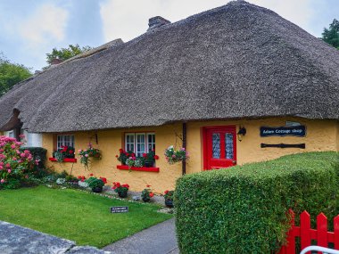 Limerick, Ireland - 09 19 2015: traditional and historic Adare cottages with typical thatched roof and colorful facades.
