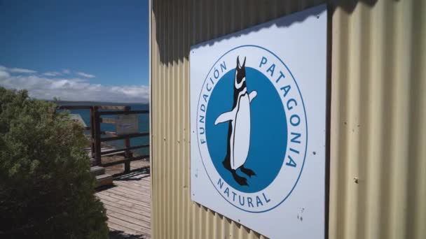 Coastline Atlantic Ocean Valdes Peninsula Close Puerto Madryn Patagonia Argentina — Stock video