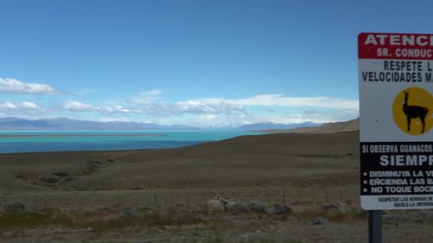Landscape Turquoise Lake Lago Argentino Close Calafate Andes Mountains Patagonia — Vídeo de Stock