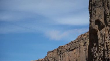 Güney Amerika, Arjantin 'in tombul Patagonya bölgesindeki Piedra parada vadisinde yükselen akbaba..