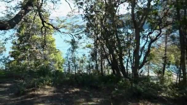 Спокійне Бірюзове Озеро Національному Парку Лос Анджелеса Патагонії Аргентина — стокове відео
