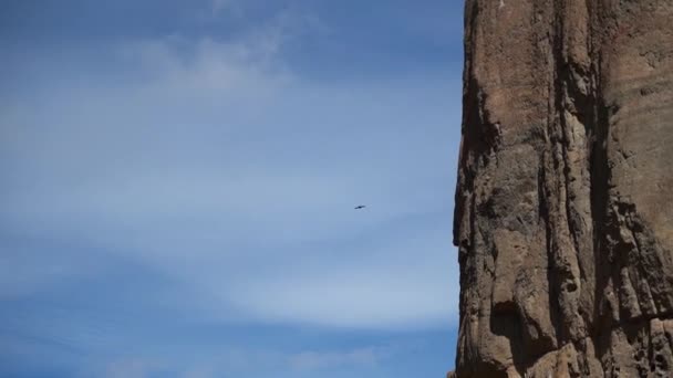 在阿根廷巴塔哥尼亚的丘比特地区 秃鹫在天空中高高地展翅飞翔 俯瞰着帕塔哥尼亚的山河流域 — 图库视频影像