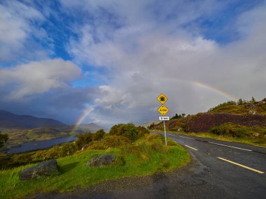 İrlanda 'daki Glengarriff Milli Parkı' ndaki Kenmare Yolu boyunca manzara.