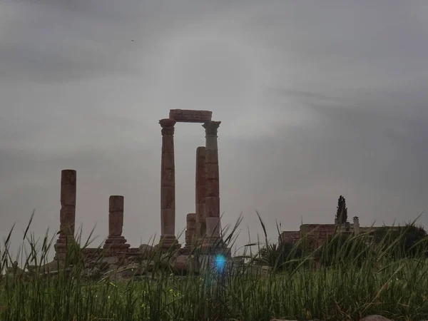 Amman Jorden Antik Herkules Templom Oszlopa Ammanban Jordániában Egy Domb — Stock Fotó