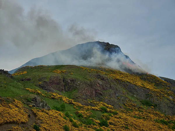 Sarı Gorse Arthur Koltuğundaki Çalı Ateşinde Yanıyor Skoçya Nın Başkenti — Stok fotoğraf