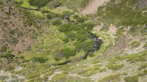 Valle Arbolado Profundo Una Cordillera Los Andes Argentina Sudamérica — Vídeo de stock