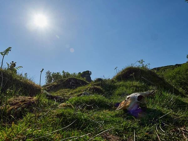 Pieni Lampi Maisemassa Keiju Glen Saarella Skye Skotlannissa — kuvapankkivalokuva