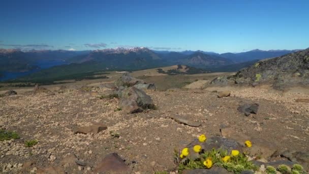 从阿根廷和智利边境地区的Batea Mahuida火山俯瞰拉戈湖 — 图库视频影像
