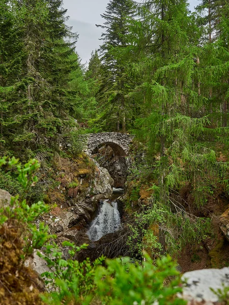 Bruar Şelaleleri, İskoçya 'nın Perthshire ormanlarında popüler bir turizm merkezidir..