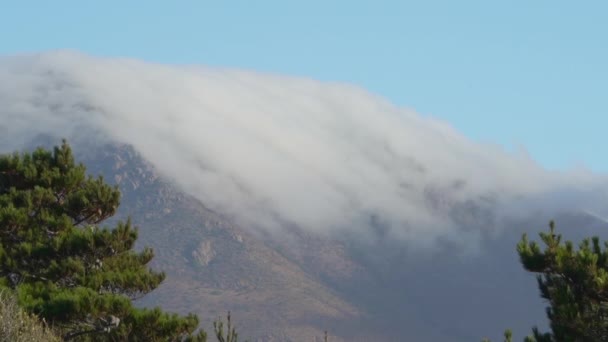 チリの太平洋の海岸線の山頂を厚い霧が流れています — ストック動画
