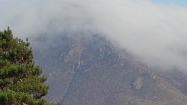 Nebbia Fitta Che Muove Sulle Cime Delle Montagne Delle Ande — Video Stock
