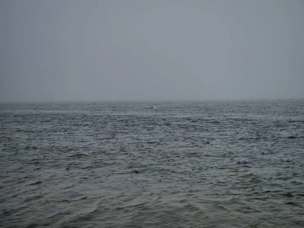 Littoral Océan Atlantique Long Des Rives Écosse Phare Chanonry Célèbre — Photo